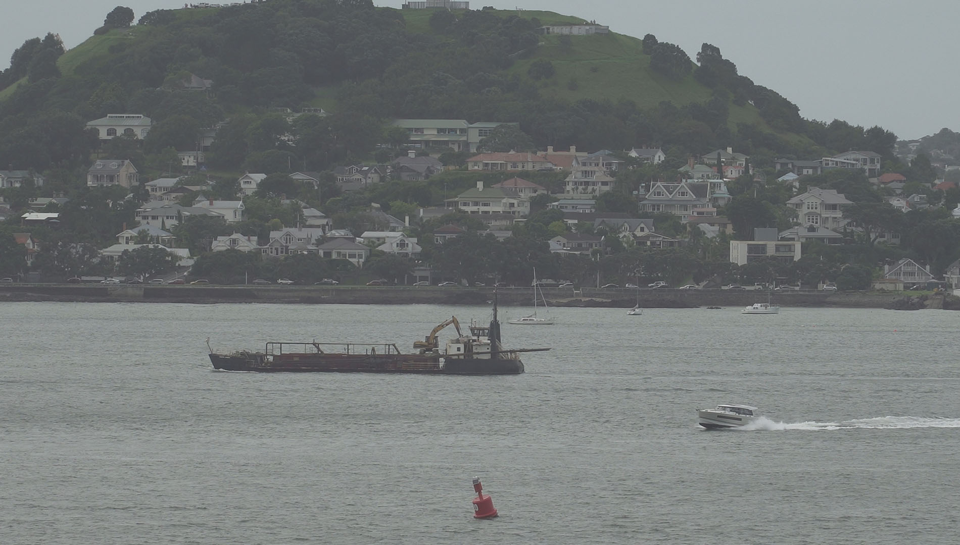 Image of Coastal Carrier